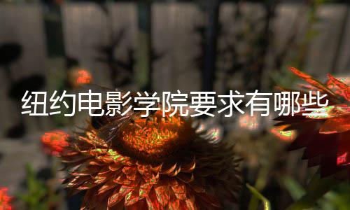 纽约电影学院要求有哪些?