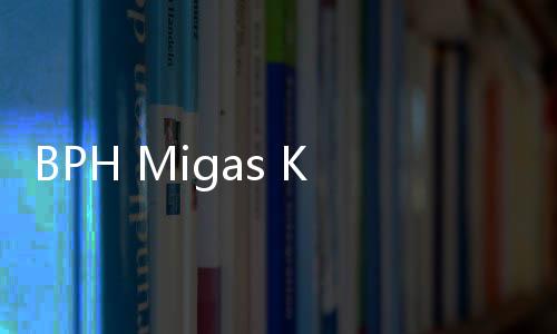 BPH Migas Kawal Program BBM Satu Harga