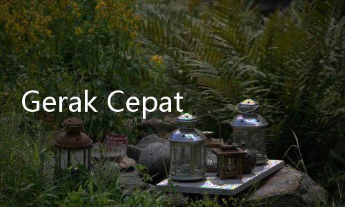 Gerak Cepat Presiden Prabowo Kejar Koruptor Diawal Pemerintahannya, Warganet: Sikat Terus Pak