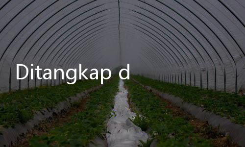 Ditangkap di Filipina, DPO Kasus Judi Online W88 Tiba di Bandara Soetta