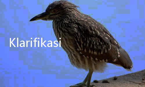Klarifikasi Kemendiktisaintek soal Nasib Neni Herlina yang Dipecat Sepihak Mendiktisaintek Satryo