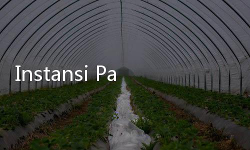 Instansi Paling Banyak dan Sedikit yang Diminati Pelamar CPNS 2024