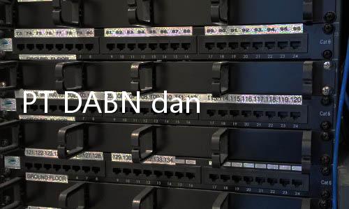 PT DABN dan ION Network Bangun Jaringan Kabel Bawah Laut Banten
