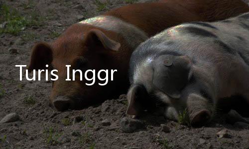 Turis Inggris Dilarang Bawa Daging dan Keju Usai Liburan dari Eropa