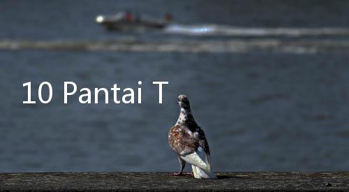 10 Pantai Terpopuler di Dunia versi Google Trends dan TikTok